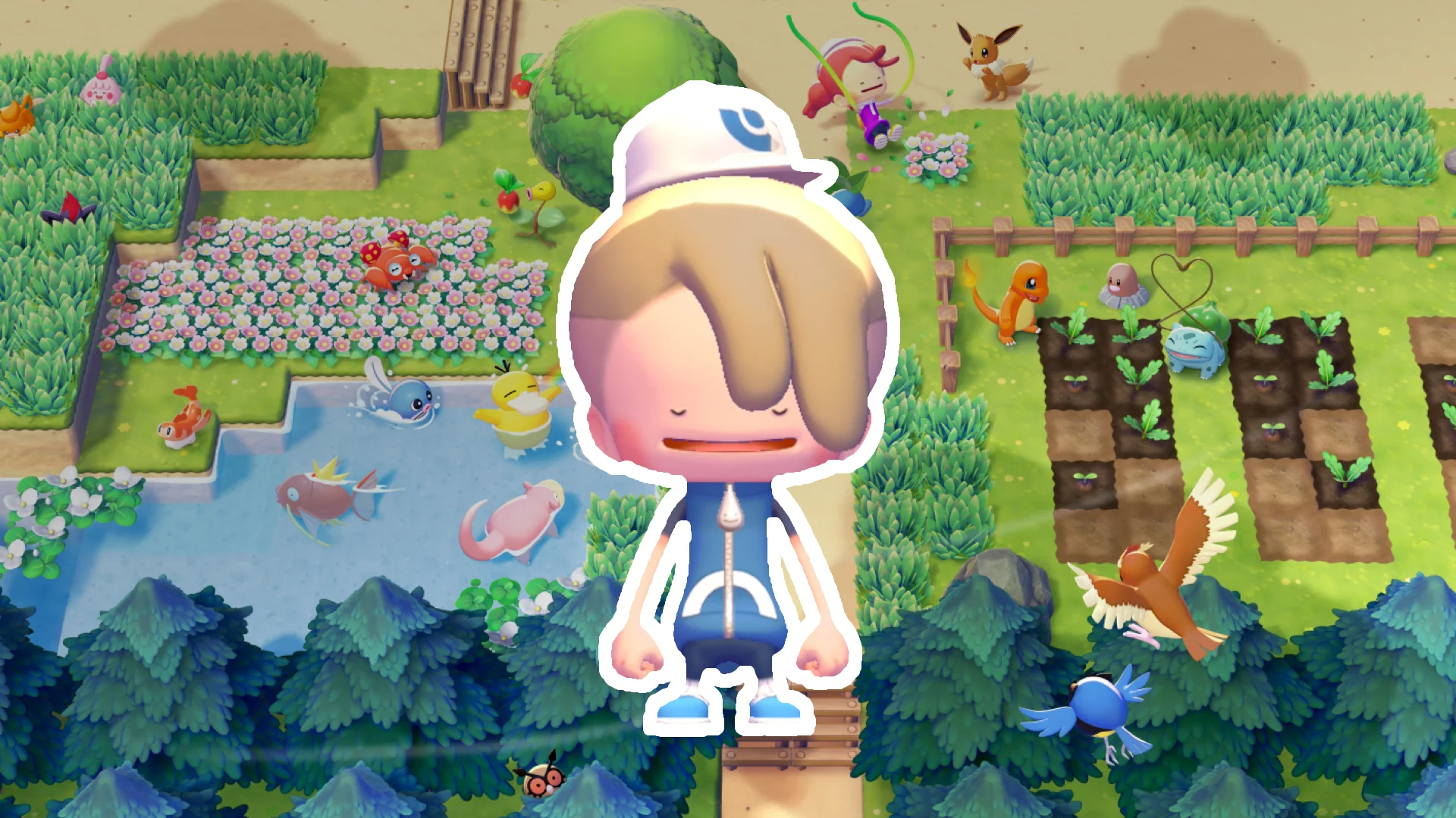 Pokémon Pokopia cozy island overview