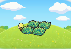 Grama Alta Iluminada