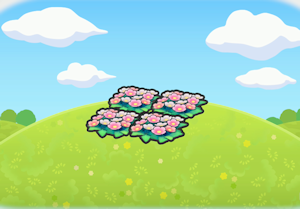 Canteiro de Flores Bonito