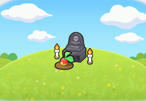 Canteiro de Vegetais Frescos