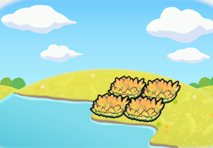 Canteiro de Flores à Meia-noite