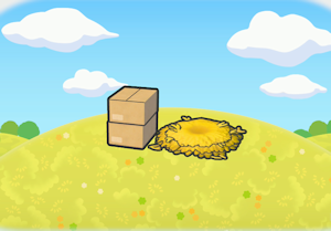 Dormitório Compartilhado