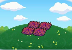 Área de Picnic na Cidade