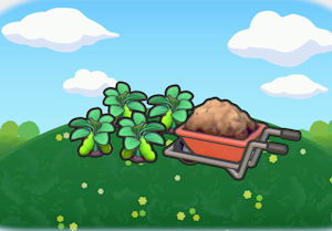 Canto de Meditação Zen