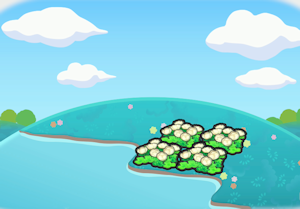 Canteiro de Flores Fofas Hidratado