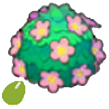 Adorable-hedge sementes