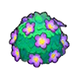 Adorable hedge (purple)