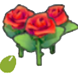 Sementes de Flores Bonitas