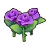 Beautiful flower (purple)