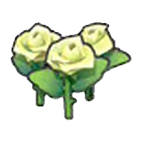 Beautiful flower (white)