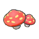 Cave mushrooms (outdoor)