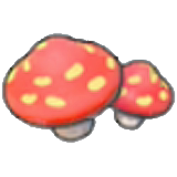 Caverna mushrooms