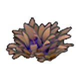 Dry amarelo tall grass