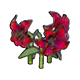 Elegant flower (red)