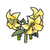 Elegant flower (yellow)