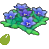 Sementes de Flor da Montanha