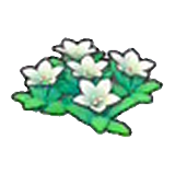 Mountain flowers (white)