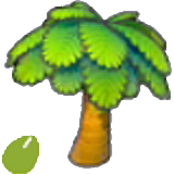 Sementes de Palmeira