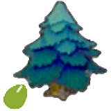 Sementes de Árvore Pontiaguda