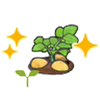 Potato sprout (Grow)