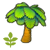 Small palm tree