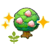 Small Pecha tree (Grow)