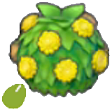 Stylish-hedge sementes