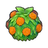 Stylish hedge (orange)