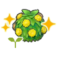 Stylish hedge sapling (Grow)