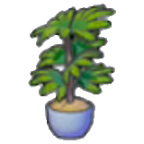 Tall potted plant