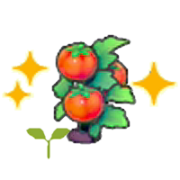 Tomato sprout (Grow)