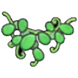 Vine pavermelhoe decoration