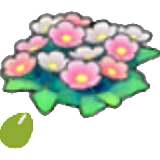 Sementes de Flor Silvestre