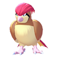 Pidgeotto