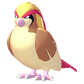 Pidgeot
