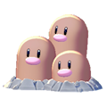 Dugtrio