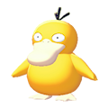 Psyduck