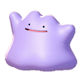 메타몽