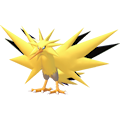 썬더