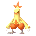 Combusken