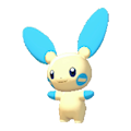 Minun