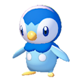 Piplup